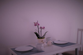 Apartment Mallinova